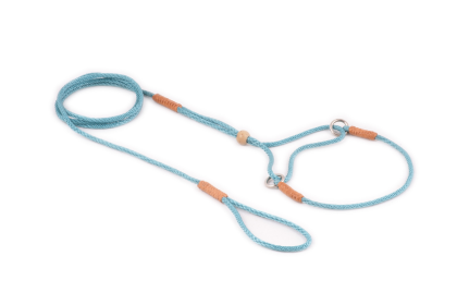 Nylon Martingale Leads (8in x 1/16 or 2 mm) (Color: Teal Green, size: 8in x 1/16 or 2 mm)