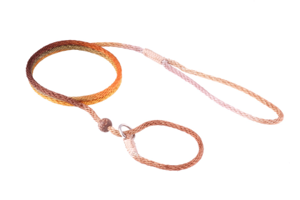 Nylon Slip Lead With Stopper (4 ft  x 1/8in or 4mm) (Color: Fall Multicolor, size: 4 ft  x 1/8in or 4mm)