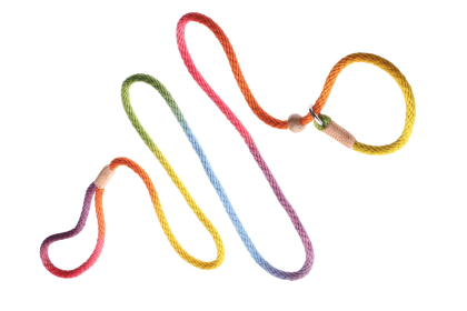 Nylon Slip Leash With 2 Stoppers (6ft  x 5/16in or 8mm) (Color: Rainbow Multicolor, size: 6ft  x 5/16in or 8mm)