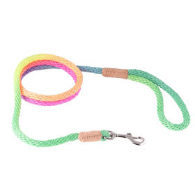 Nylon Snap Leads (4 ft  x 1/8in or 4mm) (Color: Multicolor, size: 4 ft  x 1/8in or 4mm)