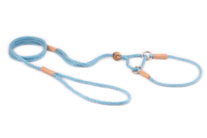 Nylon Martingale Leads (10in x 1/8in or 4mm) (Color: Sky Blue, size: 10in x 1/8in or 4mm)