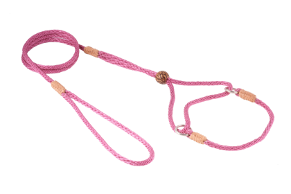 Nylon Martingale Leads (8in x 1/8in or 4mm) (Color: Wild Rose, size: 8in x 1/8in or 4mm)