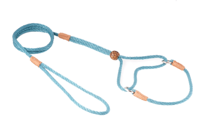 Nylon Martingale Leads (8in x 1/8in or 4mm) (Color: Teal Green, size: 8in x 1/8in or 4mm)