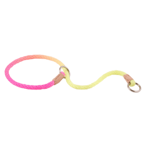 Nylon Slip Collars (10 in x 1/8in or 4mm) (Color: Multicolor, size: 10 in x 1/8in or 4mm)