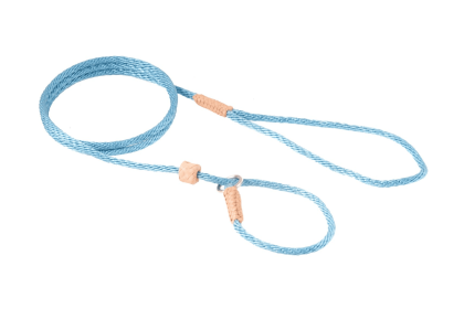 Nylon Slip Lead With Stopper (4 ft  x 1/8in or 4mm) (Color: Sky Blue, size: 4 ft  x 1/8in or 4mm)