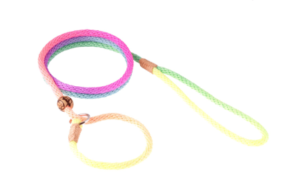 Nylon Slip Lead With Stopper (4 ft  x 1/8in or 4mm) (Color: Multicolor, size: 4 ft  x 1/8in or 4mm)
