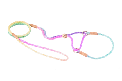 Nylon Martingale Leads (10in x 1/8in or 4mm) (Color: Multicolor, size: 10in x 1/8in or 4mm)