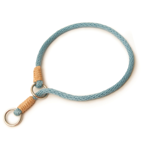 Nylon Slip Collars (14 in x 1/8in or 4mm) (Color: Sky Blue, size: 14 in x 1/8in or 4mm)