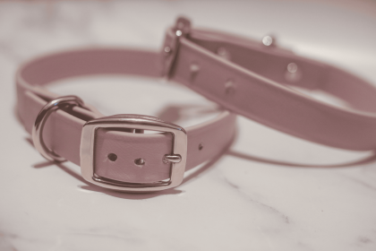 Biothane Buckle Dog Collar (Color: Pink, size: Small/Medium 12-14 inches)