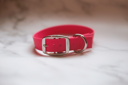 Biothane Buckle Dog Collar (Color: Red, size: XXL 19-21 inches)