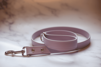 Biothane Leash (Color: Lavender, size: 4 feet)