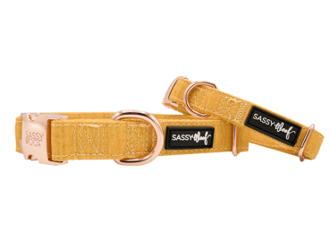 Collar (Color: Yellow, size: large)