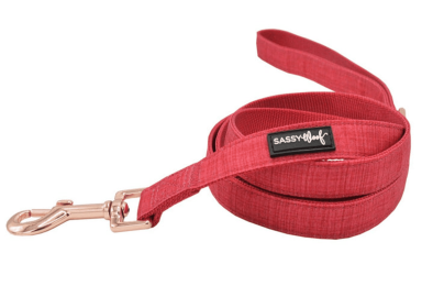 Leash (Color: Red, size: one size)