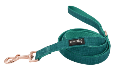 Leash (Color: Green, size: one size)