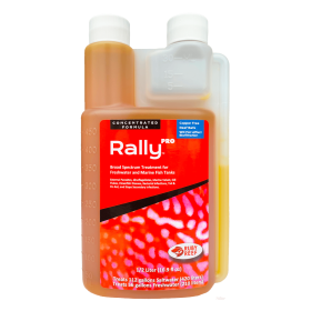 Rally PRO (size: 1/2 Liter)