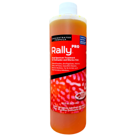 Rally PRO (size: 16 oz)