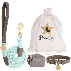 BUNDLE - DESERT MINT (Color: DESERT MINT, size: XL)