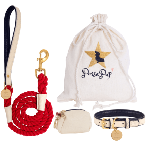 BUNDLE - HOT MARINE (Color: HOT MARINE, size: M)