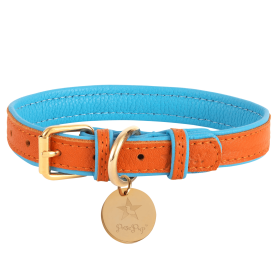 COLLAR - VIBRANT SUNSET (Quantity: Individual, size: XL)