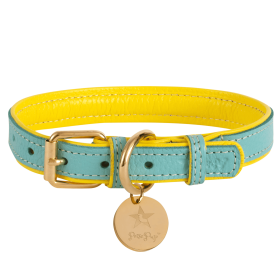 COLLAR - SUNSHINE BABE (Quantity: Individual, size: XL)