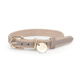 London Dog Collar (size: small)