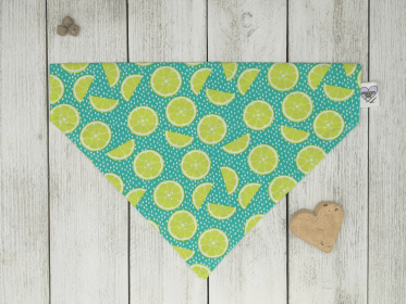 Over-The-Collar Dog Bandana (Print Design: A Twist of Lime, size: Xsmall)