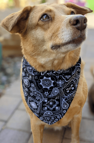 Over-The-Collar Dog Bandana (Print Design: Classic Black, size: Xsmall)