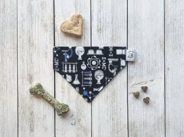 Over-The-Collar Dog Bandana (Print Design: Smarty Pants Einstein, size: Kitty)