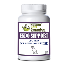 Endo Support Capsules For Dogs And Cats* Endocannabinoid System Support For Dogs & Cats* (size: 150 Capsules CAT / 250 mg. Capsules)