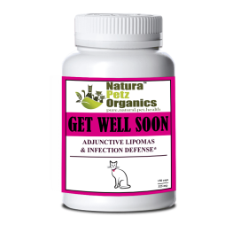 Get Well Soon - Adjunctive Lipoma + Infection Defense* (size: CAT/ 150 caps / 325 mg.)