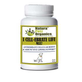 I Cellebrate Life Max - Antioxidant Cellular Boost + Adjunctive Lipoma Support* (size: DOG/ 90 caps / 500 mg /NO Flavoring)
