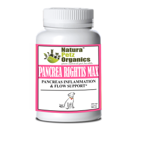 Pancrea Rightis Max Support* Capsules Pancreas Inflammation & Flow Support Dogs Cats* (size: DOG - 250 caps / 500 mg)