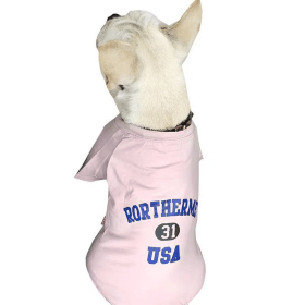 USA - Matching Pet and Owner Clothing Set (size: 2XL)