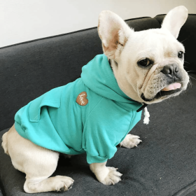 Matching Pet and Owner Clothing Set | Hoodie (size: small)