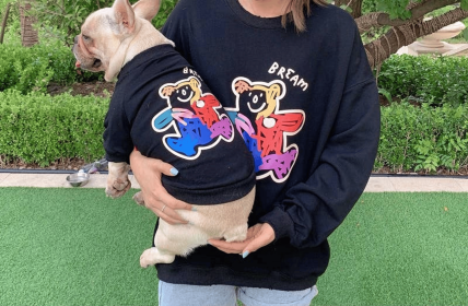 Teddy Bear - Matching Pet and Owner Clothing Set (size: 3XL)