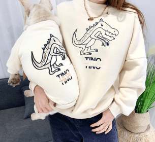 Dinosaur Love - Matching Pet and Owner Clothing Set (size: 4XL)