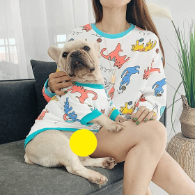 Little Dinosaur - Matching Pet and Owner Clothing Set (size: small)