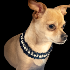 Luxurious Tweed Collar (size: medium)