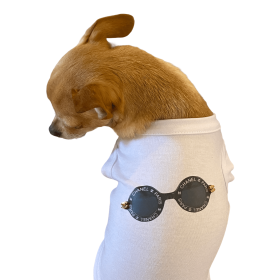 My Summer CC Sunnies (size: small)