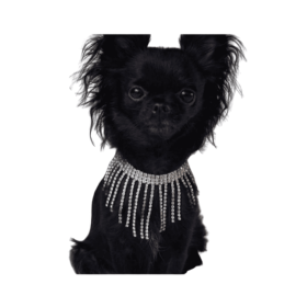 Sparkle (Option: Dior Necklace)
