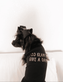 Too Glam to Give a Damn (style: TEE, size: X Small)