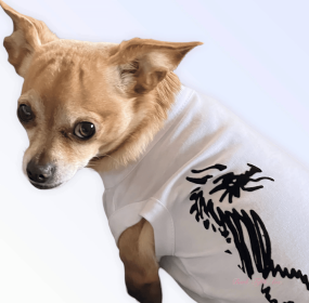 Hairmes Dragon Tee (Color: White, size: small)