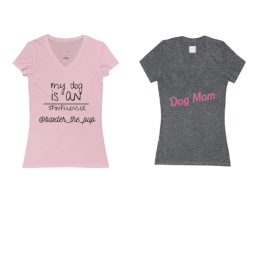 Custom Ladies Jersey Short-Sleeve Deep V-Neck T-Shirt (Color: Kelly, size: XL)