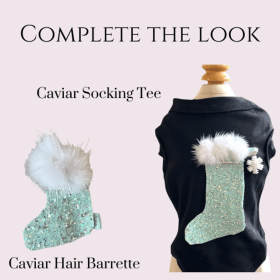 Caviar Stocking Tee- Dog Shirt (size: medium)