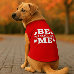 Be Thankful for Me Classic Tee (size: XS)