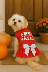 Be Thankful for Me Harvest Ruffle Dress (size: XS)