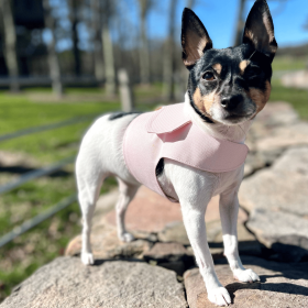 DCNY Harness Vest (Color: Blush Pink)