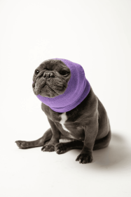 PET HOODZ DOG HOODIES FOR ANXIETY (Color: Lavender, size: medium)