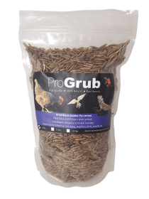Dried Black Soldier Fly Larvae (size: 1lb)