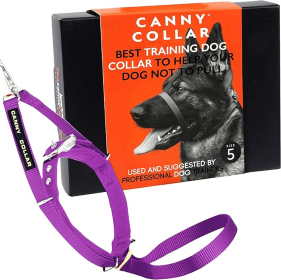 Canny Collar No-Pull Dog Head Collar Gentle & Humane Leash Training Aid (Color: Purple, size: Size 5 - Neck size 17"-19")